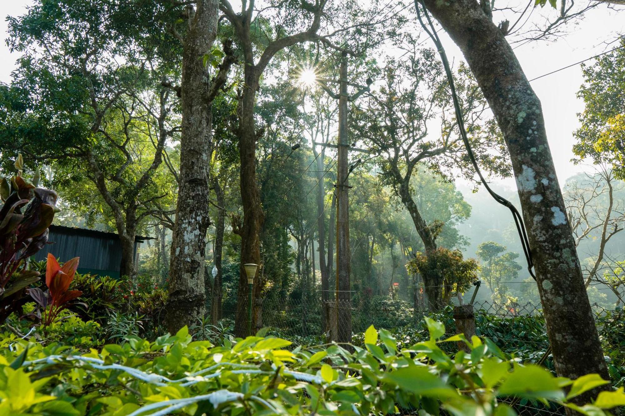 Hill Valley Farm House Nelliyampathy Exterior foto