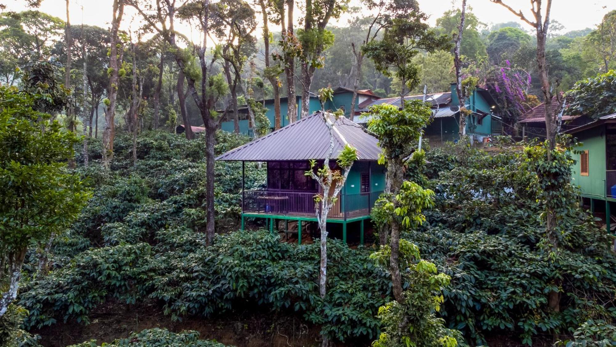 Hill Valley Farm House Nelliyampathy Exterior foto